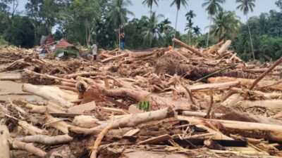 Gelondongan Kayu di Banjir Sumatra Jadi Sorotan, KLHK Telusuri Jejak ke 8 Perusahaan