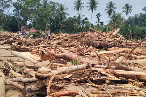 Gelondongan Kayu di Banjir Sumatra Jadi Sorotan, KLHK Telusuri Jejak ke 8 Perusahaan