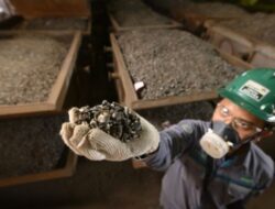 Ekspor Nikel Ilegal Diduga Lolos Lewat Manipulasi COA, Negara Rugi hingga Rp5,7 Triliun