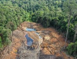 Masuk Kawasan Hutan, Tambang Nikel hingga Batu Bara Kini Kena Denda Miliaran