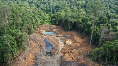 Masuk Kawasan Hutan, Tambang Nikel hingga Batu Bara Kini Kena Denda Miliaran