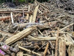 Kemenhut Optimalkan Material Kayu Pascabanjir Sumatra untuk Hunian Warga