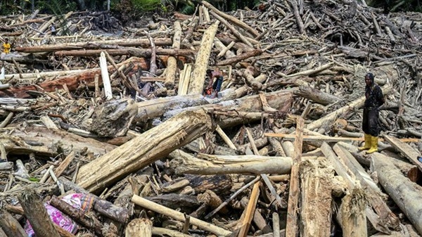 Kemenhut Optimalkan Material Kayu Pascabanjir Sumatra untuk Hunian Warga