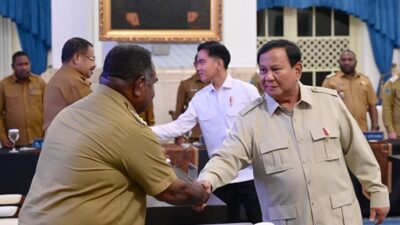 Papua Disiapkan Jadi Basis Energi Surya dan Air, Prabowo Beberkan Strateginya