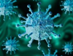 Super Flu H3N2 Merebak, DPR Minta Pemerintah Gencarkan Sosialisasi Penggunaan Masker