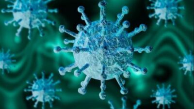 Super Flu H3N2 Merebak, DPR Minta Pemerintah Gencarkan Sosialisasi Penggunaan Masker