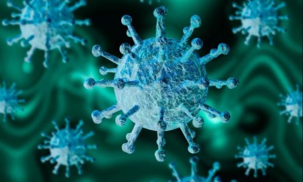 Waspada Virus Nipah, IDAI Ingatkan Anak Tak Makan Buah Bekas Gigitan Kelelawar