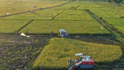 Ancaman Global Meningkat, Indonesia Optimis Jadi Lumbung Pangan Dunia