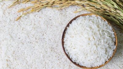 SPHP Beras 2025 Diperpanjang, Pemerintah Pastikan Harga Tetap Terkendali Awal 2026