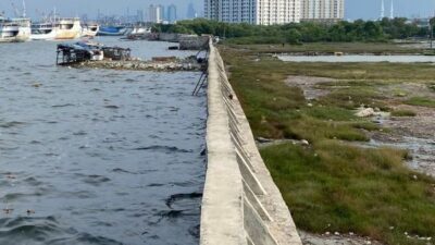 Air Laut Naik hingga 1,8 Meter, NASA Soroti Risiko Tenggelamnya Jakarta