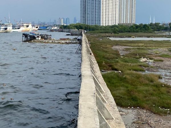 Air Laut Naik hingga 1,8 Meter, NASA Soroti Risiko Tenggelamnya Jakarta