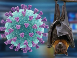 Waspada Virus Nipah, IDAI Ingatkan Anak Tak Makan Buah Bekas Gigitan Kelelawar