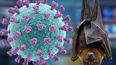 Waspada Virus Nipah, IDAI Ingatkan Anak Tak Makan Buah Bekas Gigitan Kelelawar