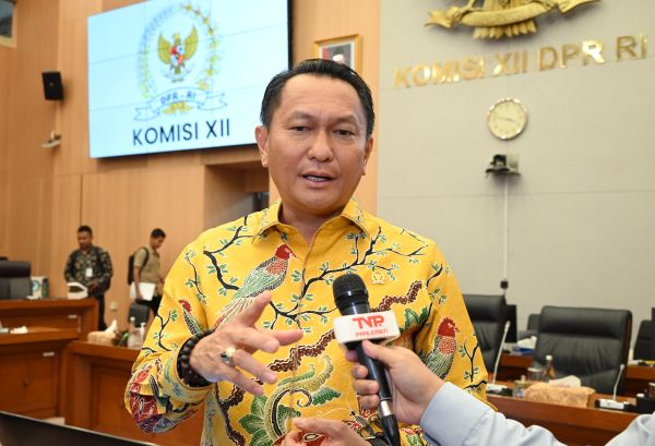 DPR Dorong HKI untuk Kendalikan Tambang Rakyat dan Lindungi Lingkungan