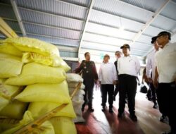 Beras Ilegal Masuk Saat Stok Nasional Aman, Mentan Amran: Ancaman bagi Petani