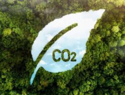 Pasar Karbon Lesu, DPR Usul Bentuk Kementerian Perubahan Iklim