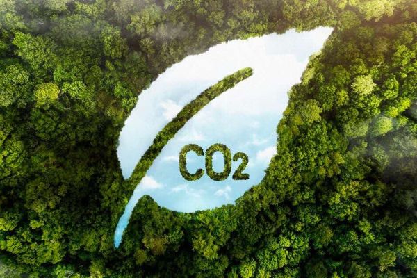 Pasar Karbon Lesu, DPR Usul Bentuk Kementerian Perubahan Iklim