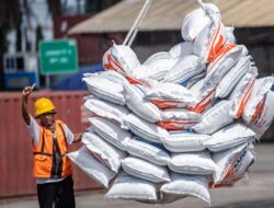 Hentikan Impor Beras 2026, DPR Ingatkan Pemerintah Jaga Harga Gabah Petani