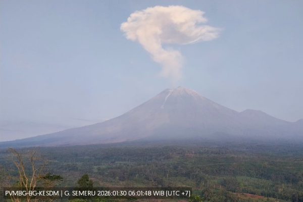 Gunung Semeru Erupsi Tiga Kali, Warga Diminta Jauhi Besuk Kobokan