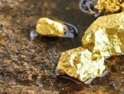 Peredaran Emas Ilegal Disorot, Antam Didorong Serap Produksi Nasional