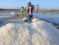 Kebijakan Impor Garam Tuai Kritik, DPR Soroti Lemahnya Keberpihakan Negara pada Petani