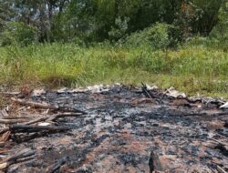 Ketua Marga Kamuyen Diserang, Konflik Tanah Adat di Merauke Memanas