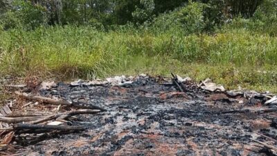 Ketua Marga Kamuyen Diserang, Konflik Tanah Adat di Merauke Memanas
