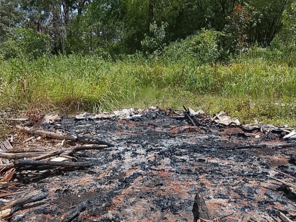 Konflik Tanah Adat di Merauke Memanas, Solidaritas Merauke Desak Pemerintah Turun Tangan