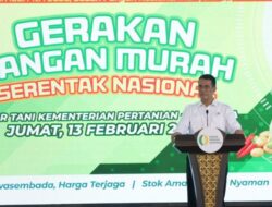 Stok Beras Nasional Capai 3,4 Juta Ton, Tertinggi Sepanjang Sejarah
