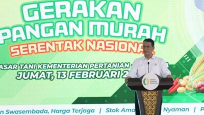Stok Beras Nasional Capai 3,4 Juta Ton, Tertinggi Sepanjang Sejarah