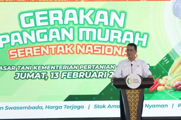 Stok Beras Nasional Capai 3,4 Juta Ton, Tertinggi Sepanjang Sejarah