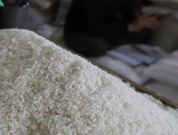 Soal Impor 1.000 Ton Beras Khusus dari AS, DPR Minta Pemerintah Buka Data