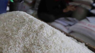 Soal Impor 1.000 Ton Beras Khusus dari AS, DPR Minta Pemerintah Buka Data