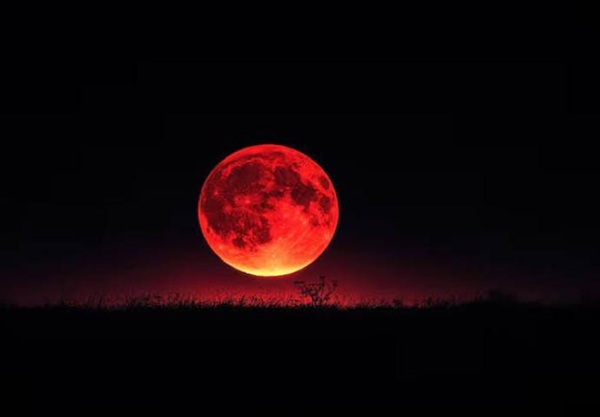 Gerhana Bulan Total 3 Maret 2026 Bisa Disaksikan dari Indonesia, Ini Waktu dan Fasenya