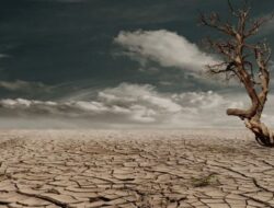 Kemarau 2026 Diprediksi Lebih Ekstrem, BMKG Minta Semua Sektor Siaga