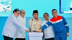 Prabowo Resmikan Hilirisasi Tahap II, Ini Daftar 13 Strategi Proyek