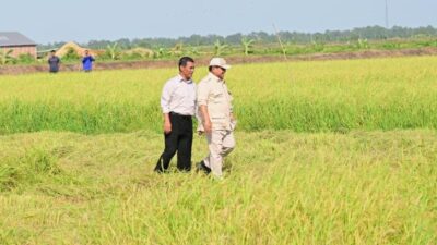 Hadapi El Nino, Mentan Amran Pastikan Stok Pangan Nasional Aman hingga 11 Bulan