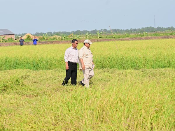 Hadapi El Nino, Mentan Amran Pastikan Stok Pangan Nasional Aman hingga 11 Bulan