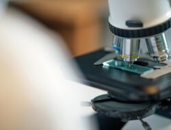 Program Hibah Riset BPDP 2026 Resmi Dibuka, Ini Syarat dan Bidangnya